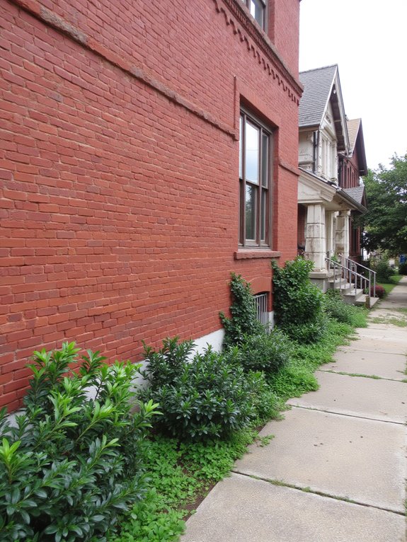 stunning variety of patterns