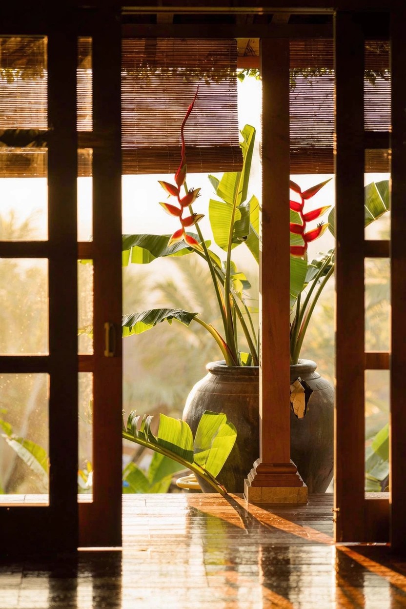 Open wooden sliding doors on a ground floor with partially drawn bamboo blinds, a large terracotta pot holding a tall heliconia plant with red flowers and green leaves in the foreground, and tropical plants and sunlight visible outside.