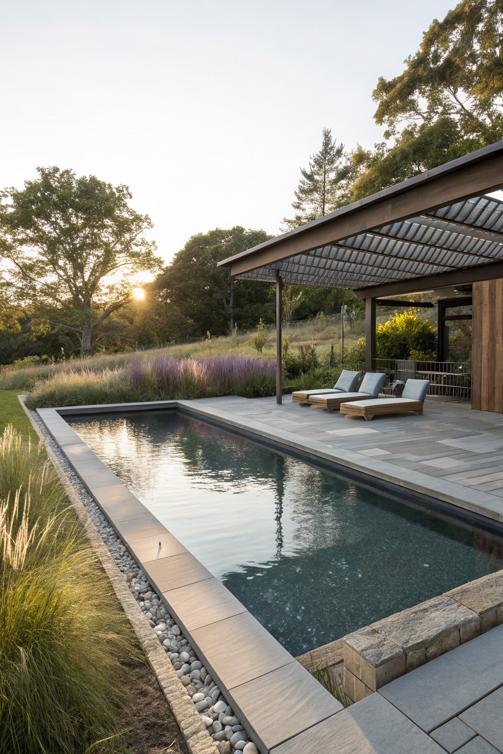 Narrow dark-tiled pool with gray stone decking, bordered by tall ornamental grasses and white pebble mulch, lounge chairs under a slatted wood pergola, lavender plants and trees in background at sunset.