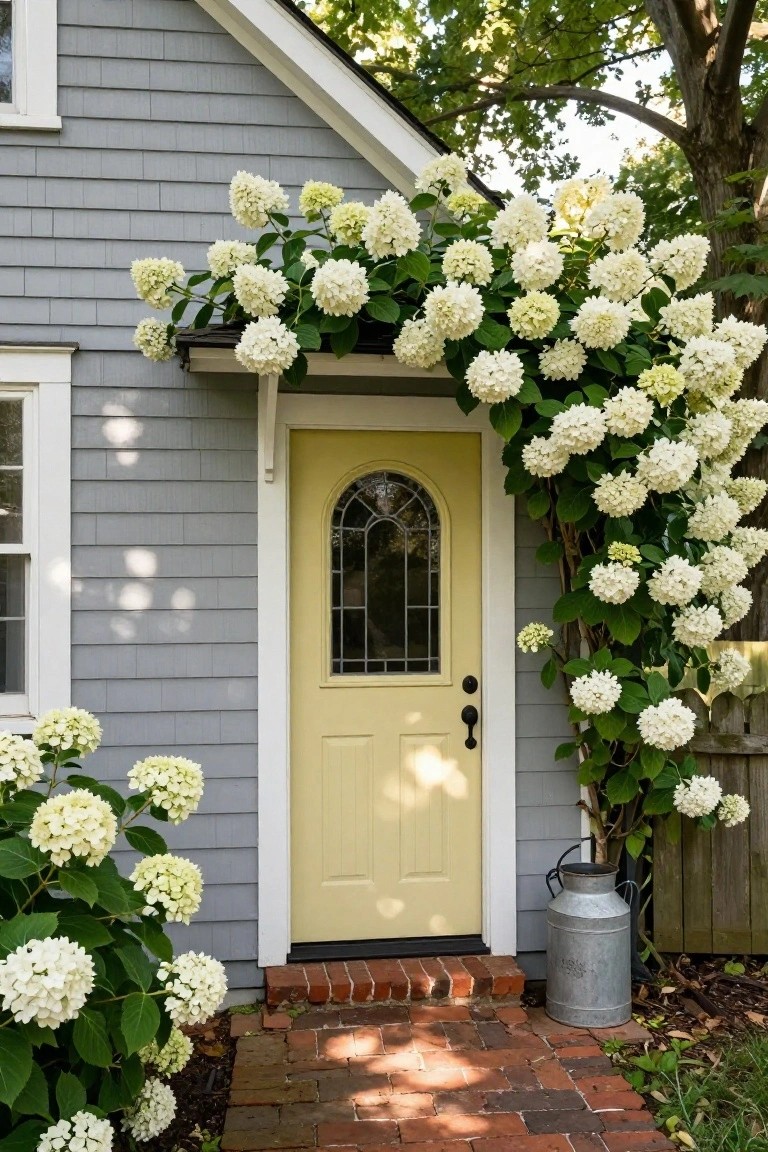 Gray shingle cottage exterior with pale yellow arched glass front door framed by blooming white hydrangea vines, smaller hydrangea bushes to the side, a galvanized milk can on a brick path, and trees in the background.