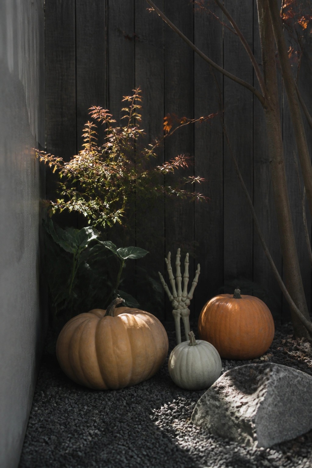 Outdoor yard display with orange and white pumpkins and a skeleton hand arranged on gravel against a dark wooden fence.